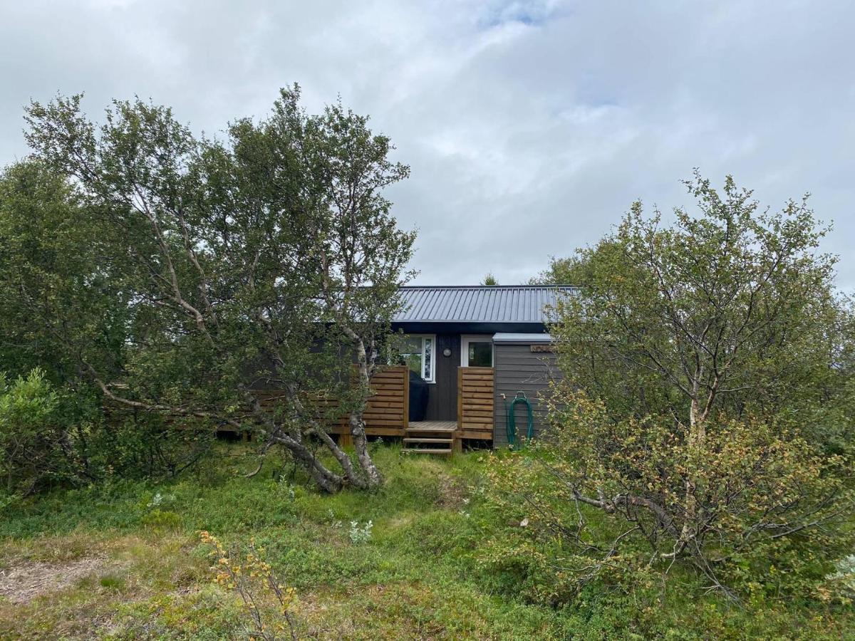 Cabin In The Lava. Near Husavik Skogar  Eksteriør bilde